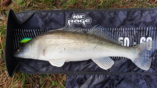 20221229_124301.jpg 20221229_124301.jpg