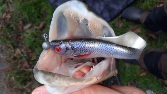 20221229_112427.jpg 20221229_112427.jpg