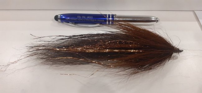 20221229_165651.jpg 20221229_165651.jpg