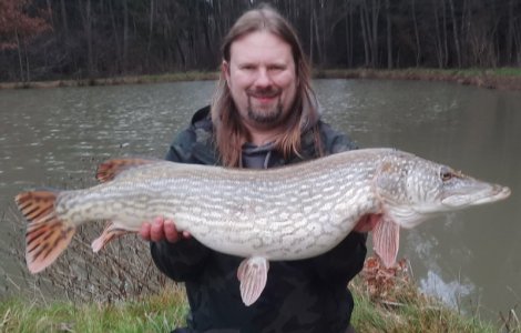 20221230_130031.jpg 20221230_130031.jpg