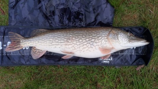 20221230_125821.jpg 20221230_125821.jpg