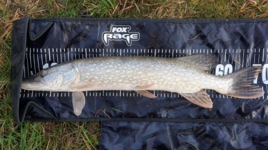 20221231_134148.jpg 20221231_134148.jpg