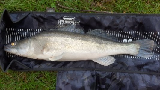 20221231_150613.jpg 20221231_150613.jpg