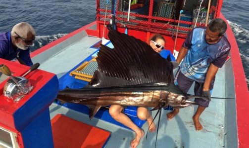 -6172263962138227336_121.jpg -6172263962138227336_121.jpg