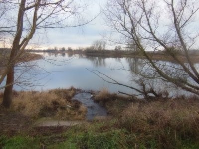 DSCN4268.JPG DSCN4268.JPG