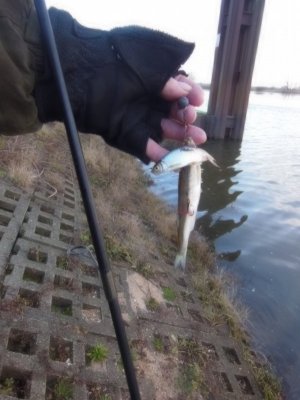 DSCN4266.JPG DSCN4266.JPG