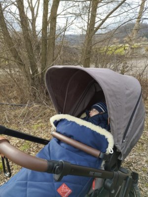 IMG-20230106-WA0010.jpg IMG-20230106-WA0010.jpg