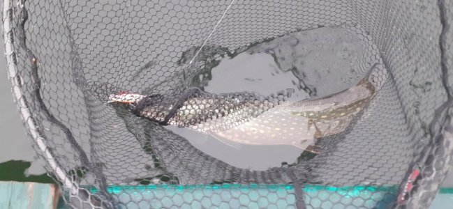 20230108_150016.jpg 20230108_150016.jpg