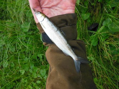 DSCN2857.JPG DSCN2857.JPG