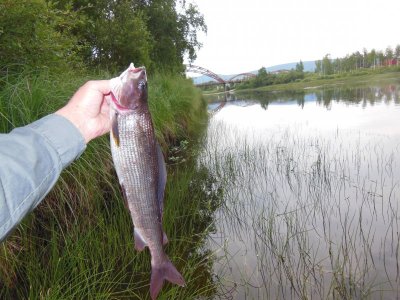 DSCN2776.JPG DSCN2776.JPG