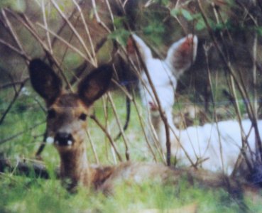 IMG_4476-2.JPG IMG_4476-2.JPG