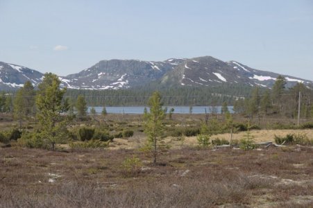 IMGP0637.jpg IMGP0637.jpg