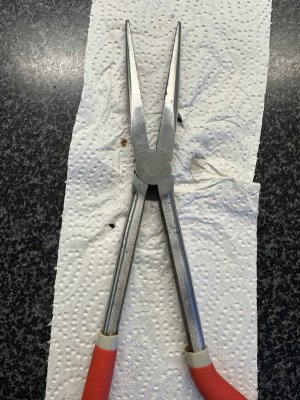 3FEBD0BC-82F8-44E3-B408-A2922D0D055C.jpeg 3FEBD0BC-82F8-44E3-B408-A2922D0D055C.jpeg