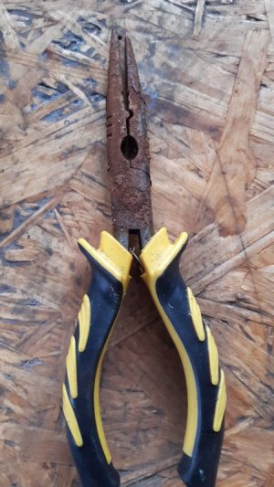 20230129_152937.jpg 20230129_152937.jpg