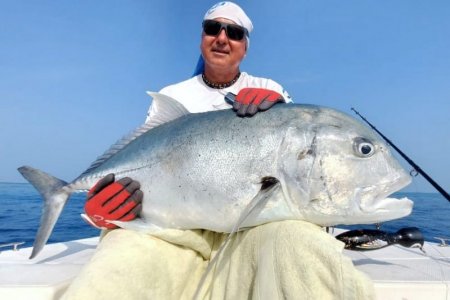 397ea8d1-08f1-4b57-8d93-960d7d589b3f.JPG 397ea8d1-08f1-4b57-8d93-960d7d589b3f.JPG