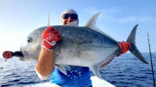 376732d3-50f0-46aa-956f-a21e4334786b.JPG 376732d3-50f0-46aa-956f-a21e4334786b.JPG