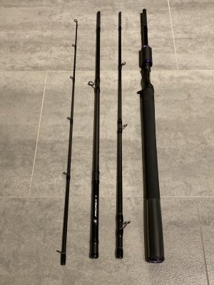 Prorex_2.JPG