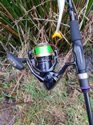 20230205_170317.jpg 20230205_170317.jpg