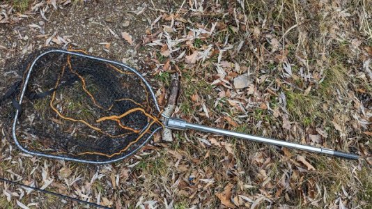 PXL_20221229_110100768.jpg PXL_20221229_110100768.jpg