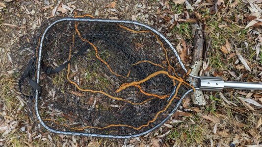 PXL_20221229_110107358.jpg PXL_20221229_110107358.jpg