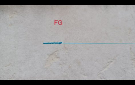 IMG_20230215_095943.jpg IMG_20230215_095943.jpg