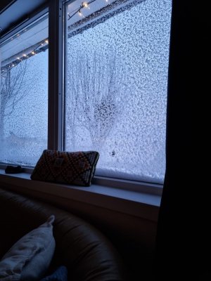 20230225_065547.jpg