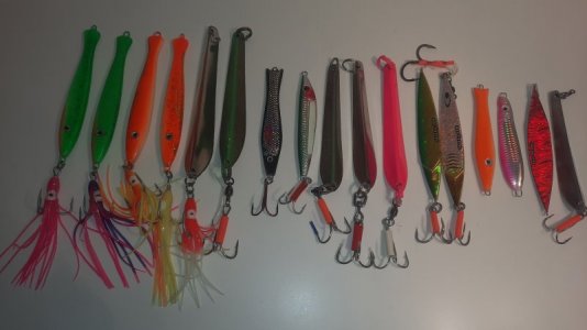 20230304_172645.jpg 20230304_172645.jpg