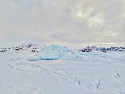 DSC_2927-01.jpeg DSC_2927-01.jpeg