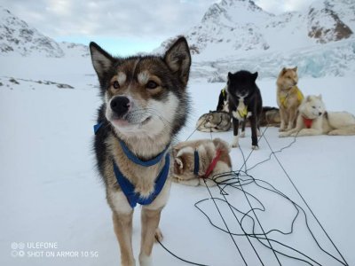 FB_IMG_1678532245316.jpg FB_IMG_1678532245316.jpg