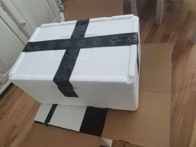 20220914_125650.jpg 20220914_125650.jpg