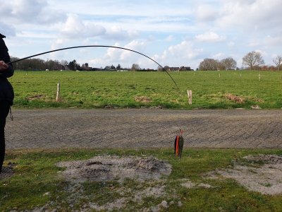 20230318_155257.jpg 20230318_155257.jpg