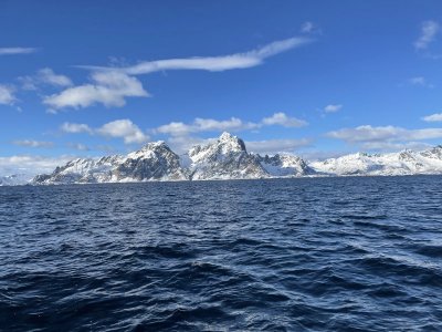 04B3C3A6-4014-446E-8FD3-4321E4E45D3B.jpeg 04B3C3A6-4014-446E-8FD3-4321E4E45D3B.jpeg