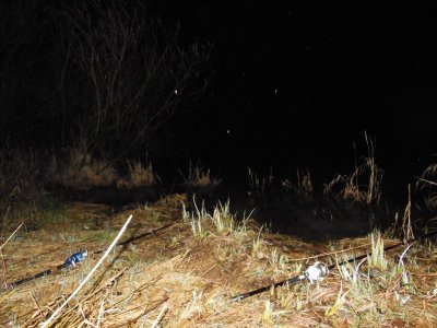 DSCN4528.JPG DSCN4528.JPG