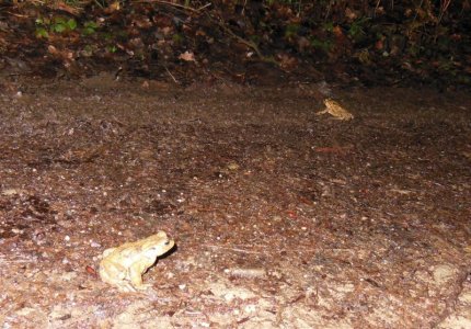 DSCN4533.JPG DSCN4533.JPG