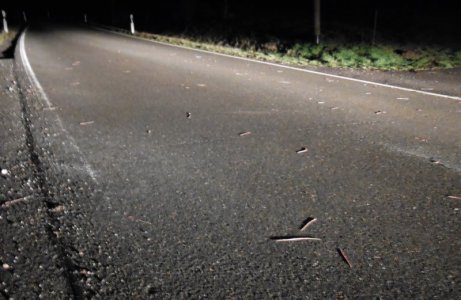 DSCN4539.JPG DSCN4539.JPG