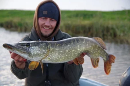 IMGP3473 (640x424).webp