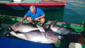 12178063_10156181944205501_835260742_n.jpg 12178063_10156181944205501_835260742_n.jpg