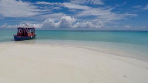 G0180220.jpg G0180220.jpg