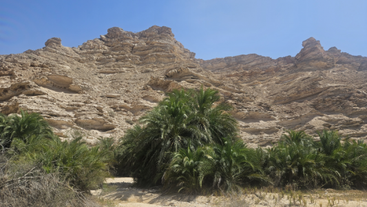 1679935355075.png 1679935355075.png