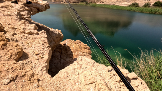 1679938096784.png 1679938096784.png