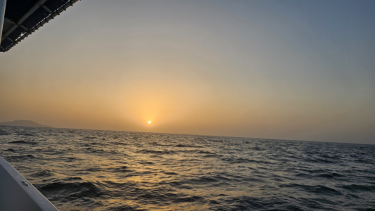 1680103496948.png 1680103496948.png