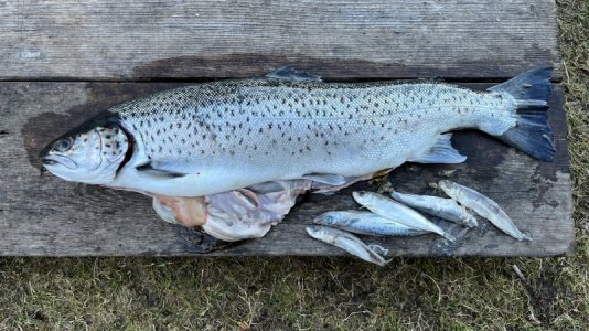 AF3E4FB7-A88F-4AB6-8973-95033B7BE70E.jpeg AF3E4FB7-A88F-4AB6-8973-95033B7BE70E.jpeg