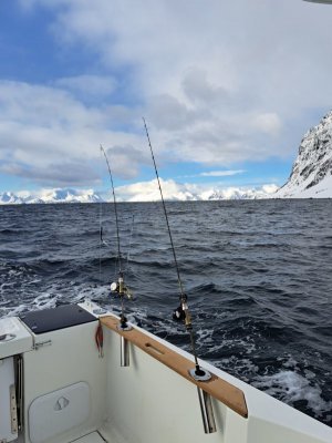20230402_102700.jpg 20230402_102700.jpg