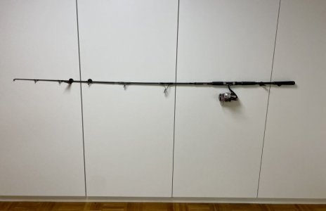 IMG_6504.jpeg IMG_6504.jpeg