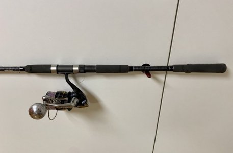 IMG_6505.jpeg IMG_6505.jpeg