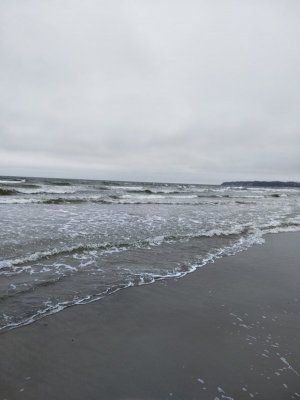 IMG_20230408_114512.jpg IMG_20230408_114512.jpg