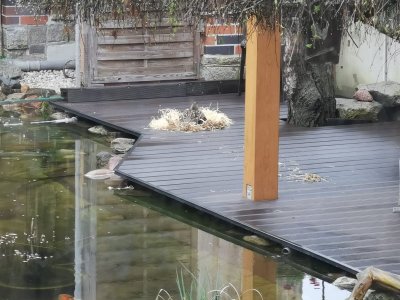 IMG-20230416-WA0000.jpg IMG-20230416-WA0000.jpg