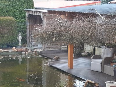 IMG-20230415-WA0000.jpg IMG-20230415-WA0000.jpg