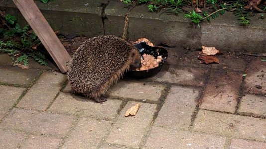 PXL_20230416_012019324.jpg PXL_20230416_012019324.jpg