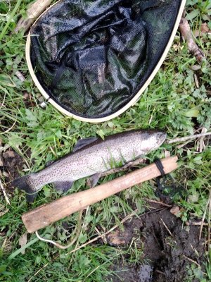 IMG_20230422_192042.jpg IMG_20230422_192042.jpg